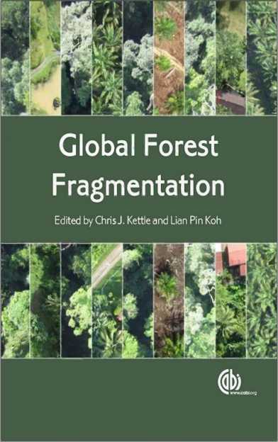 Global forest fragmentation